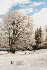 Schnee-Flensburg-13