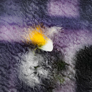 KW09-2025-2381