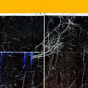 KW32-2026-2905